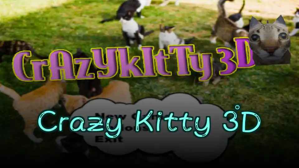Crazy Kitty 3D