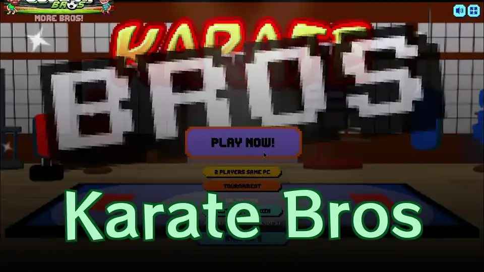 Karate Bros