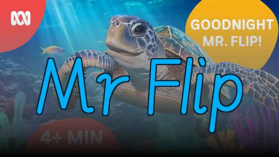 Mr Flip