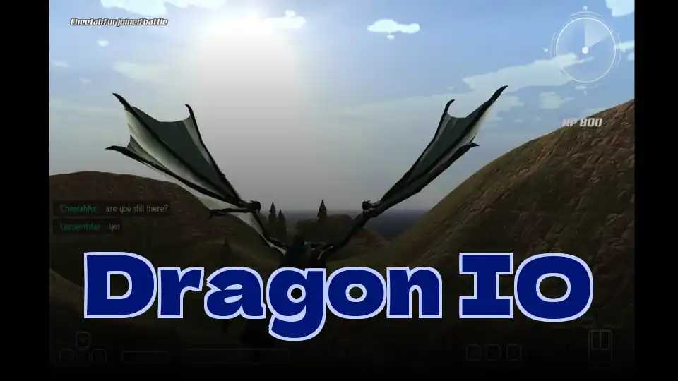 Dragon IO