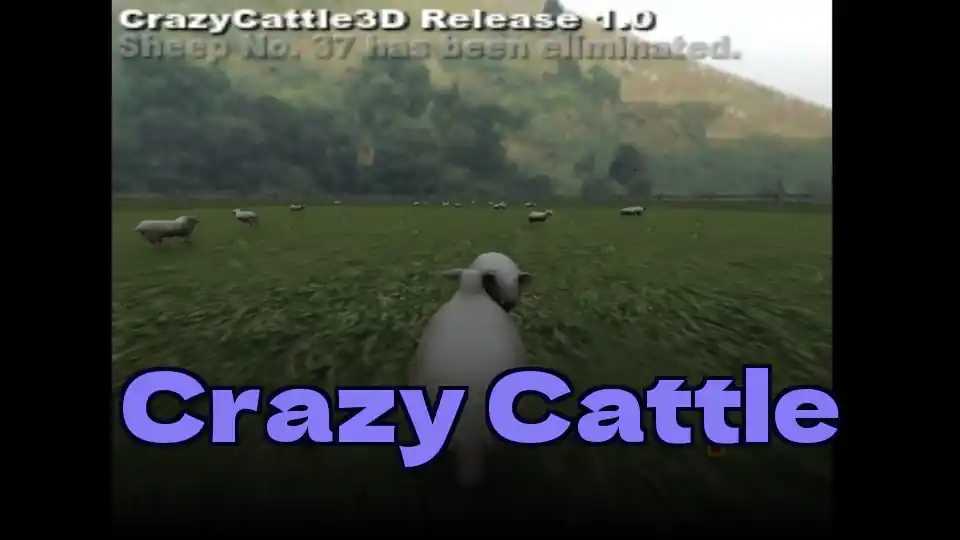 Crazy Cattle