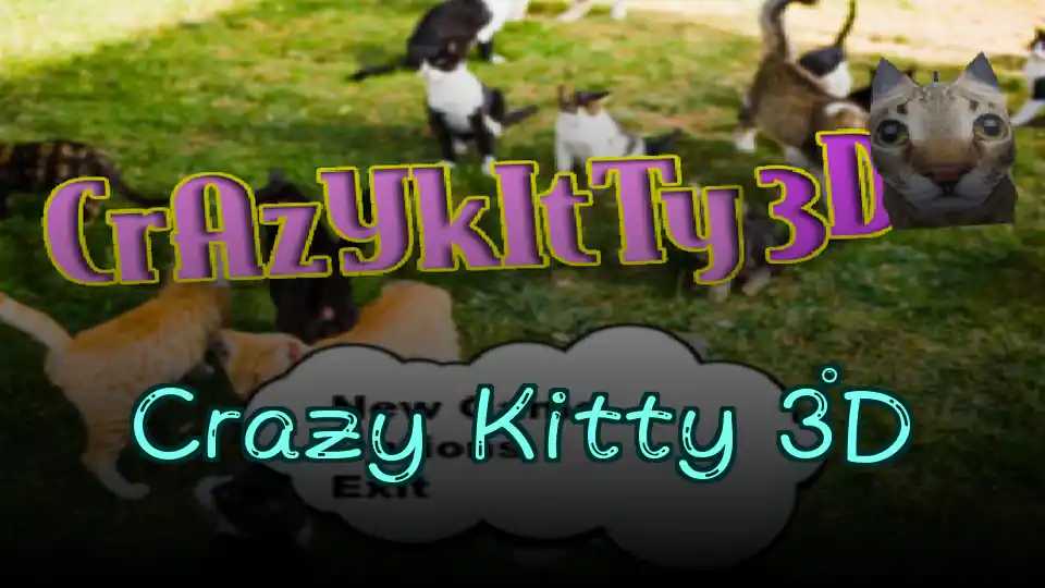 Crazy Kitty 3D