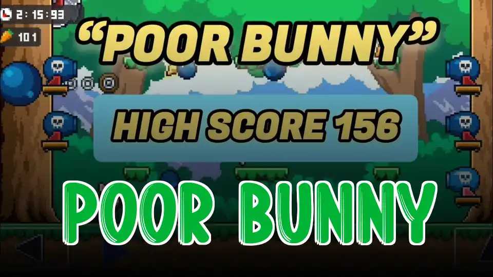 Poor Bunny