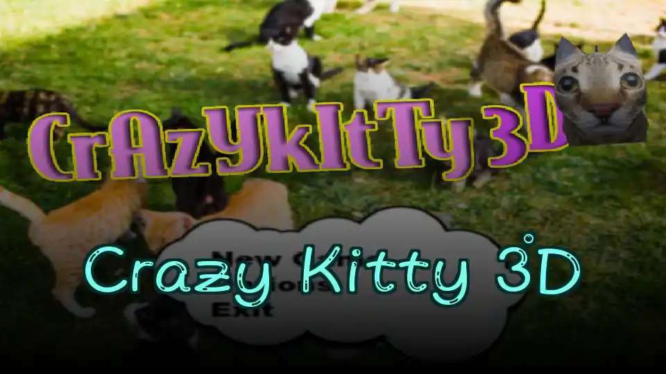 Crazy Kitty 3D
