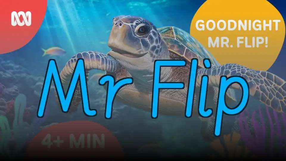 Mr Flip