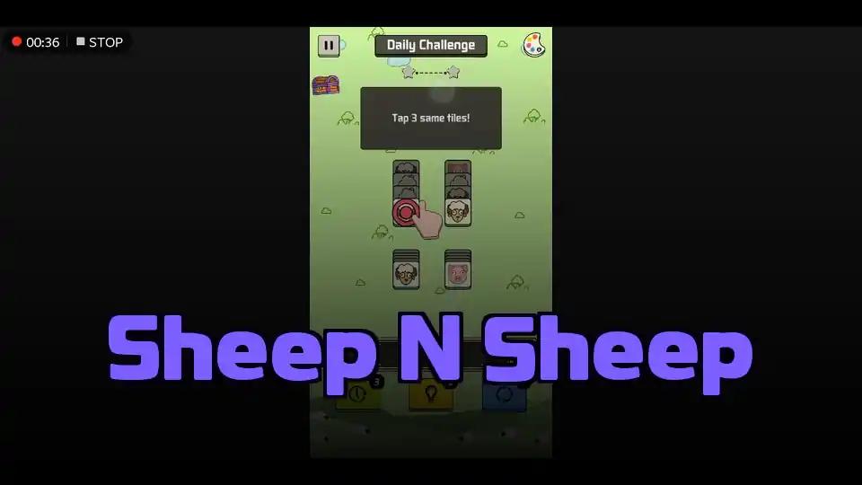 Sheep N Sheep